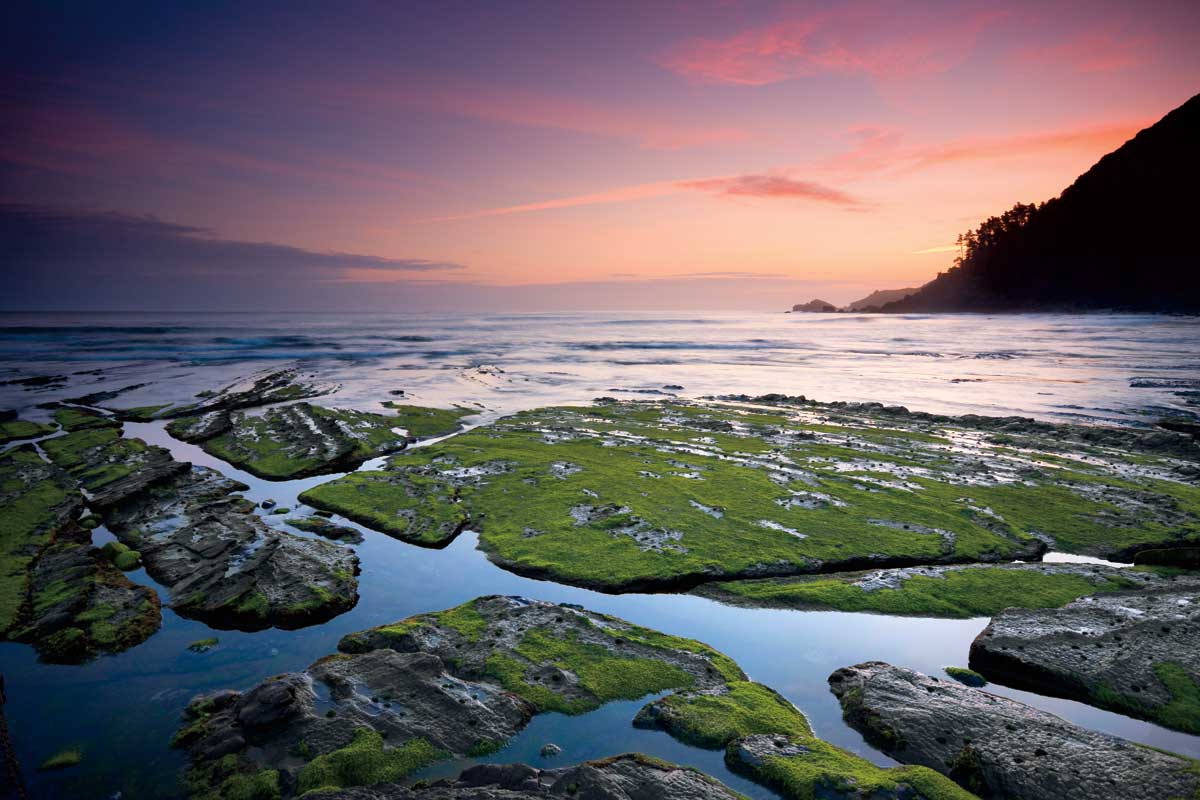 Dulce Amanecer (Sweet Morning) by artist  Urtzi Vera