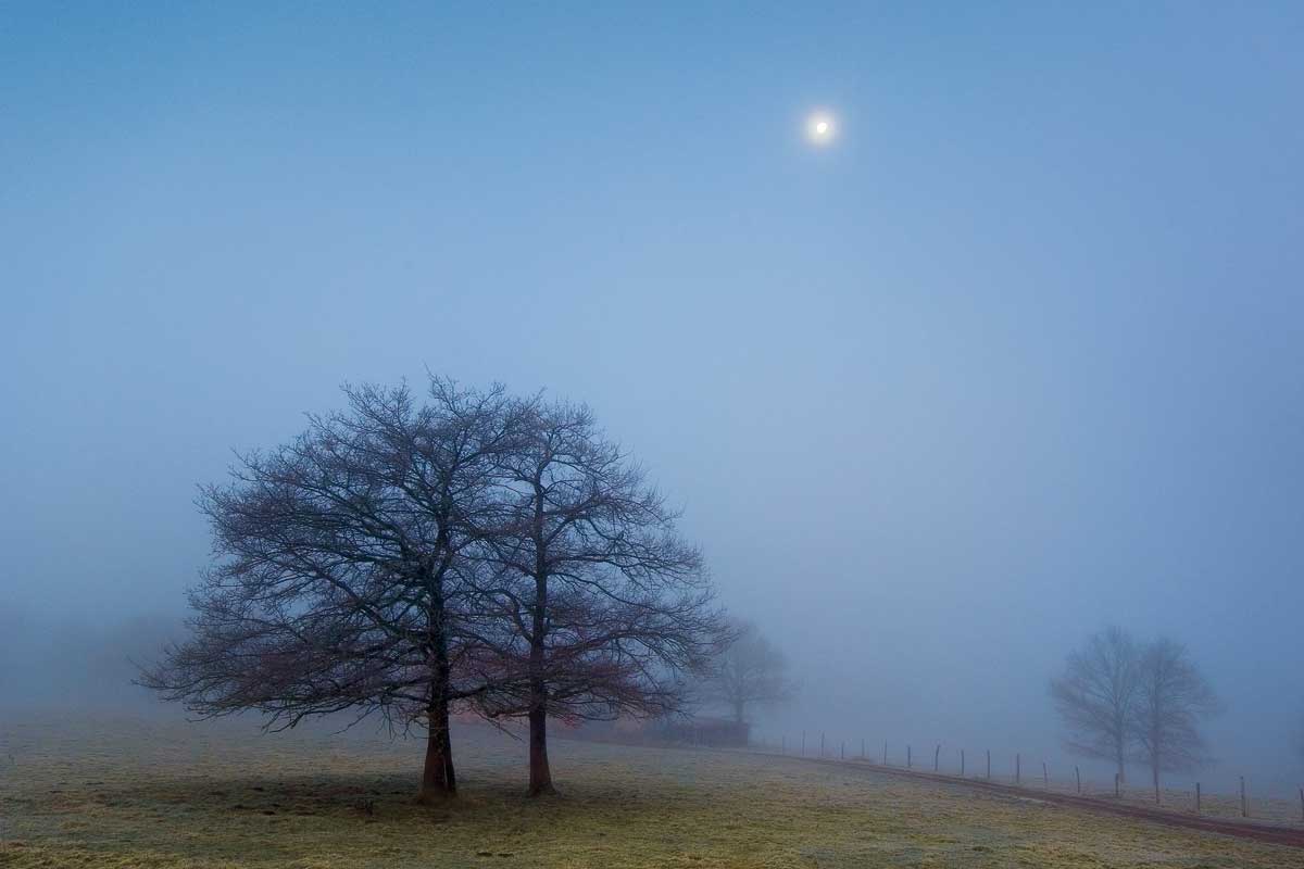 Silencio Azul (Blue silence) by artist  Urtzi Vera