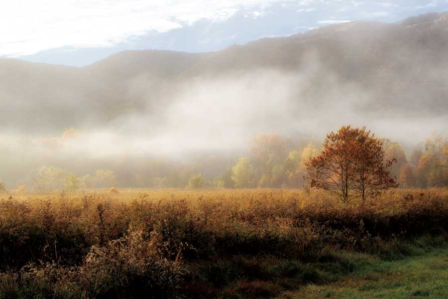 Lifting Fog by artist  D. Burt
