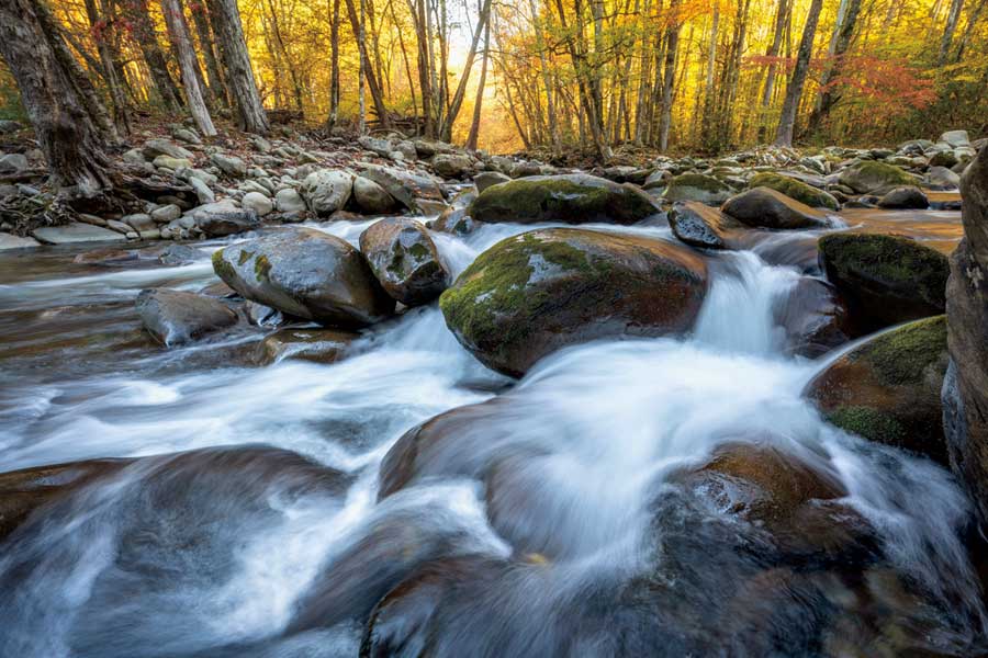 Rushing by artist  D. Burt