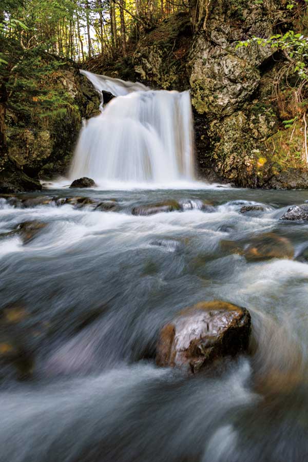 Fresh Fall by artist  Sean Greenough