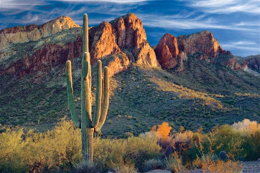 Found You by artist  Mike Jones