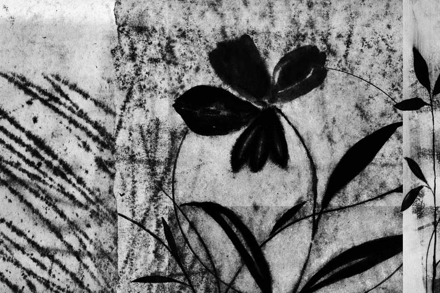 Simple Bloom by artist  Fernando Leal