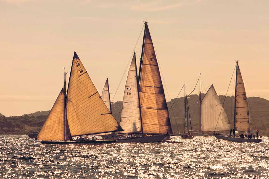 The Gathering by artist  Jorge Llovet