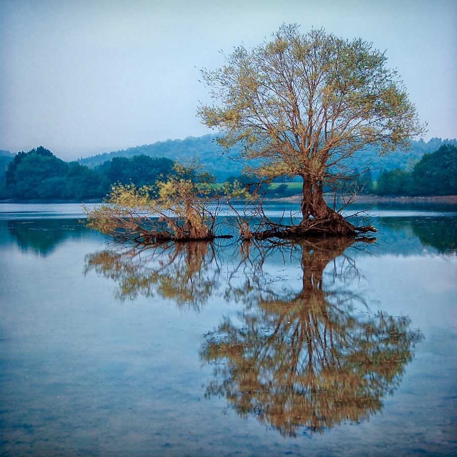 Reflexiones by artist  Urtzi Vera