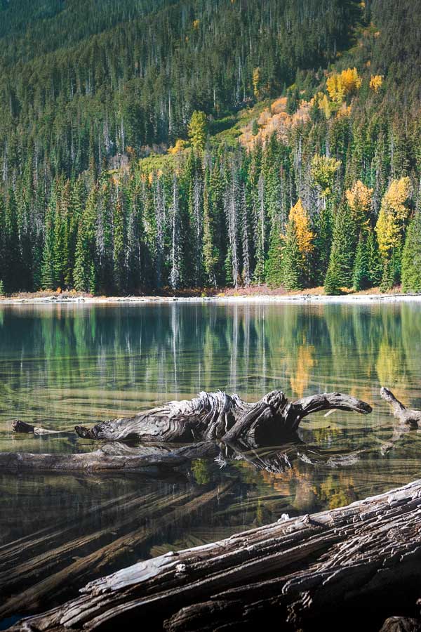 Alpine Reflections by artist  Madison Starnes Photography