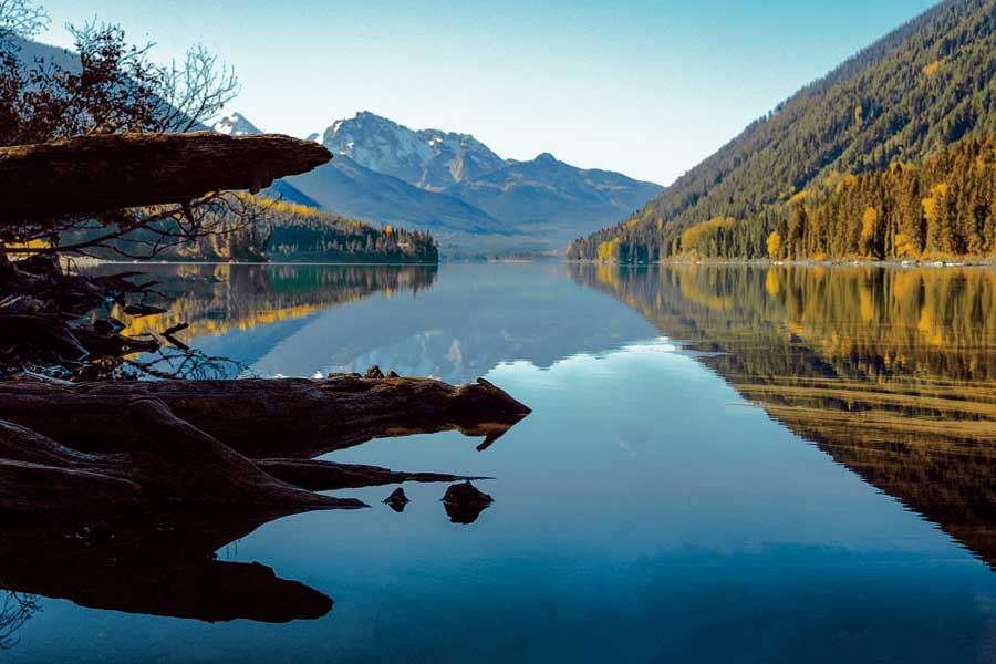 Evergreen Mirrors by artist  Madison Starnes Photography