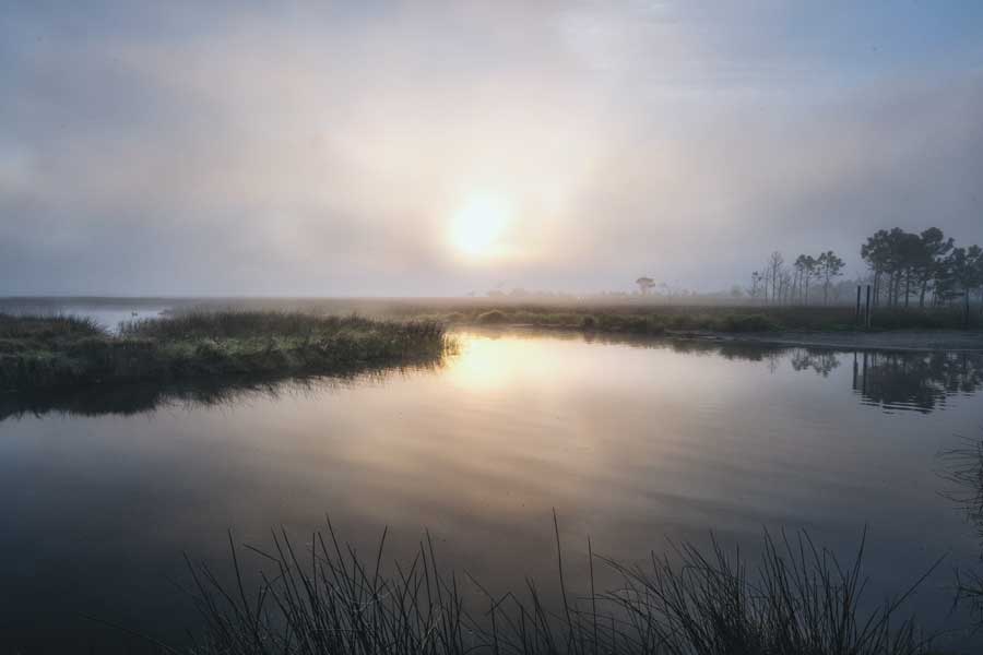 Fog On The Bayou by artist D. Burt