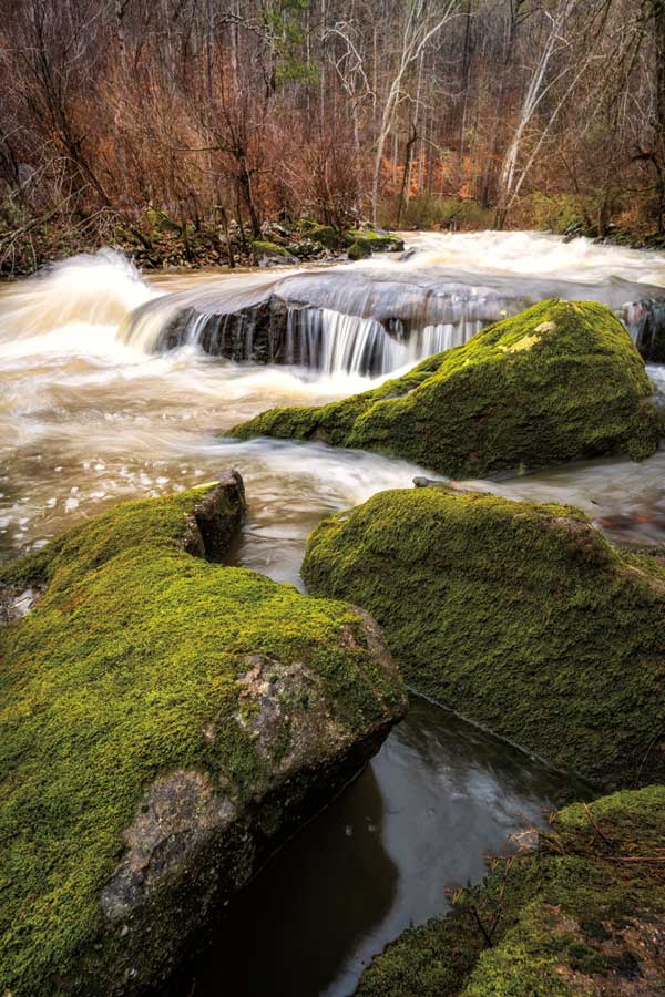 Hidden Sanctuary  by artist D. Burt