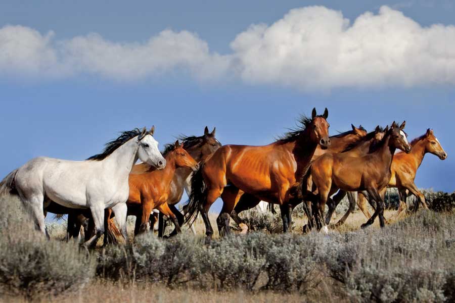 Generations by artist Wendy Caro