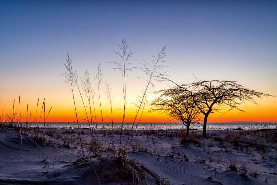 Muskegon State Park by artist Gail Howarth