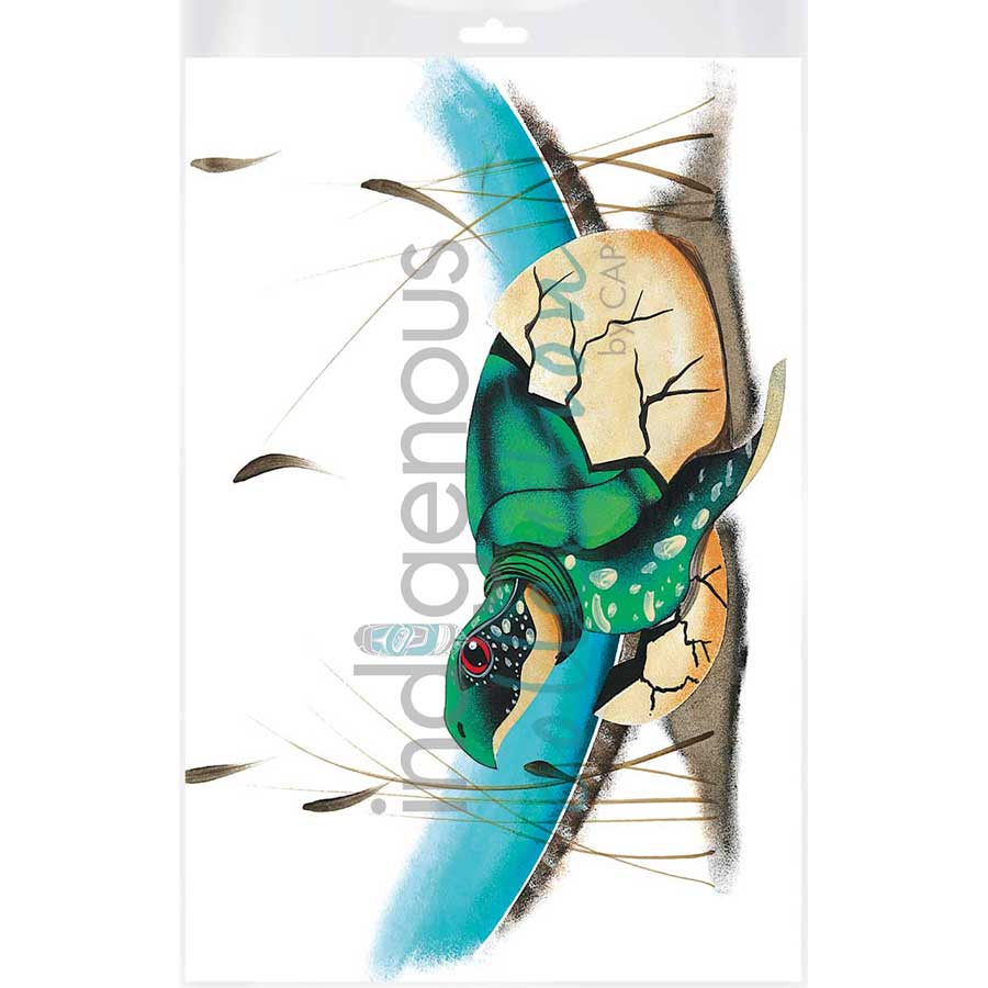 First Born by artist Garnett Tobacco - Cree. Indigenous Collection