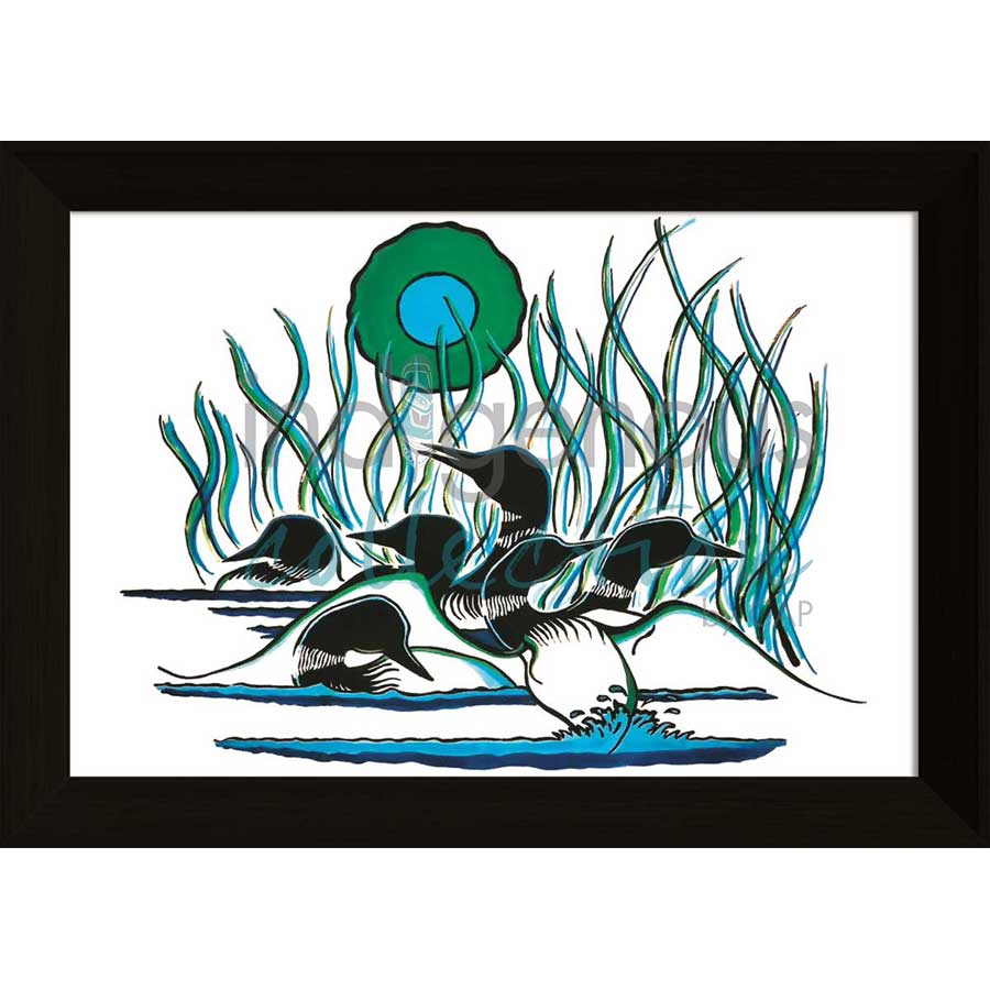 Family of Loons by artist Arnold Isbister - Cree. Indigenous Collection