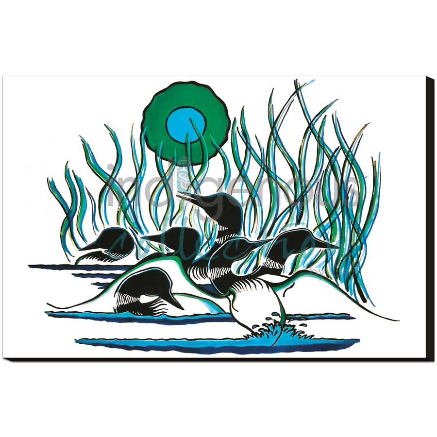 Family of Loons by artist Arnold Isbister - Cree. Indigenous Collection