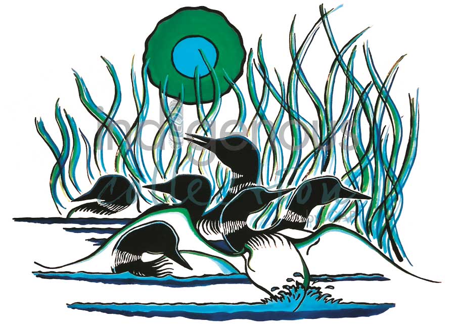 Family of Loons by artist Arnold Isbister