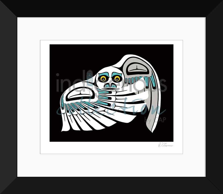 Owl Limited Edition. Indigenous Collection