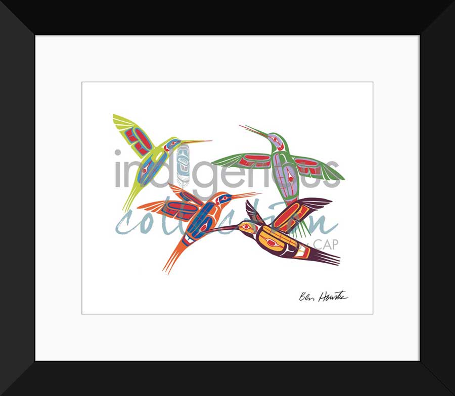 Four Hummingbirds Limited Edition. Indigenous Collection