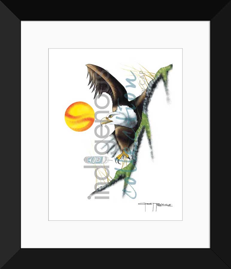 Majestic Hunter Limited Edition. Indigenous Collection