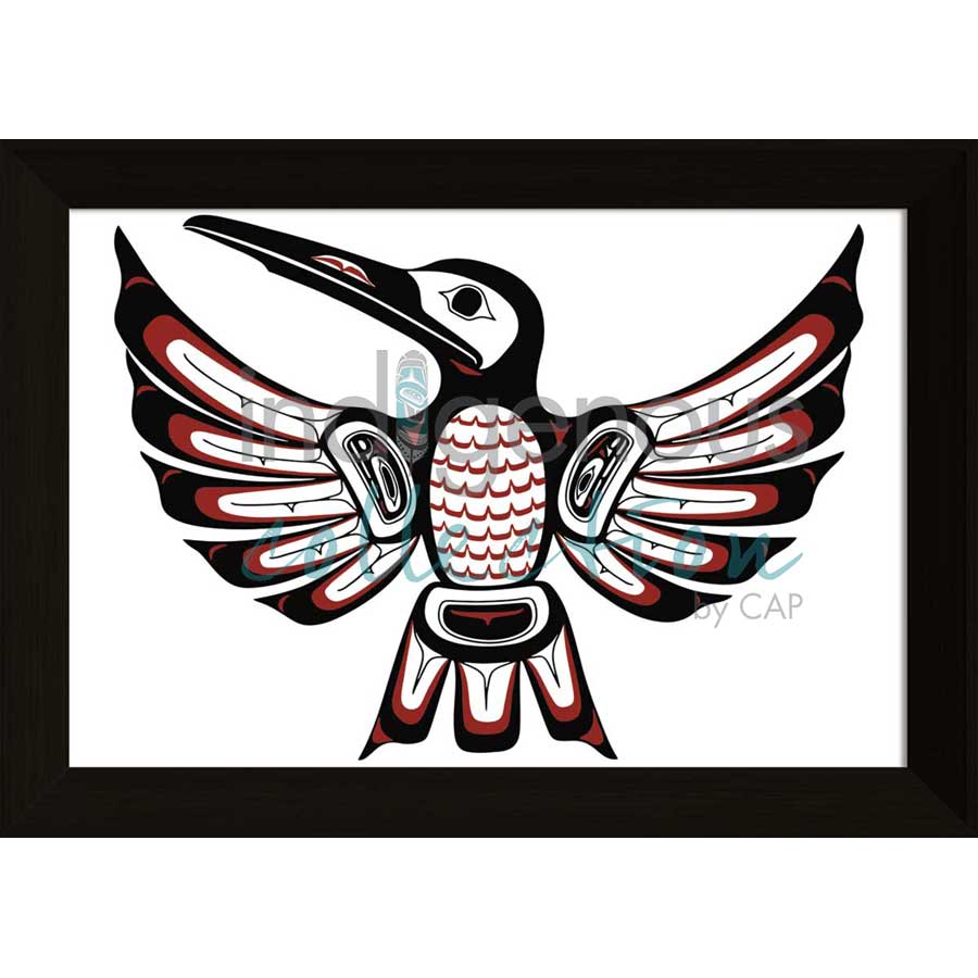 Haida Hummingbird by artist Clarence Mills - Haida. Indigenous Collection