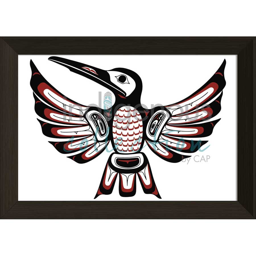 Haida Hummingbird by artist Clarence Mills - Haida. Indigenous Collection