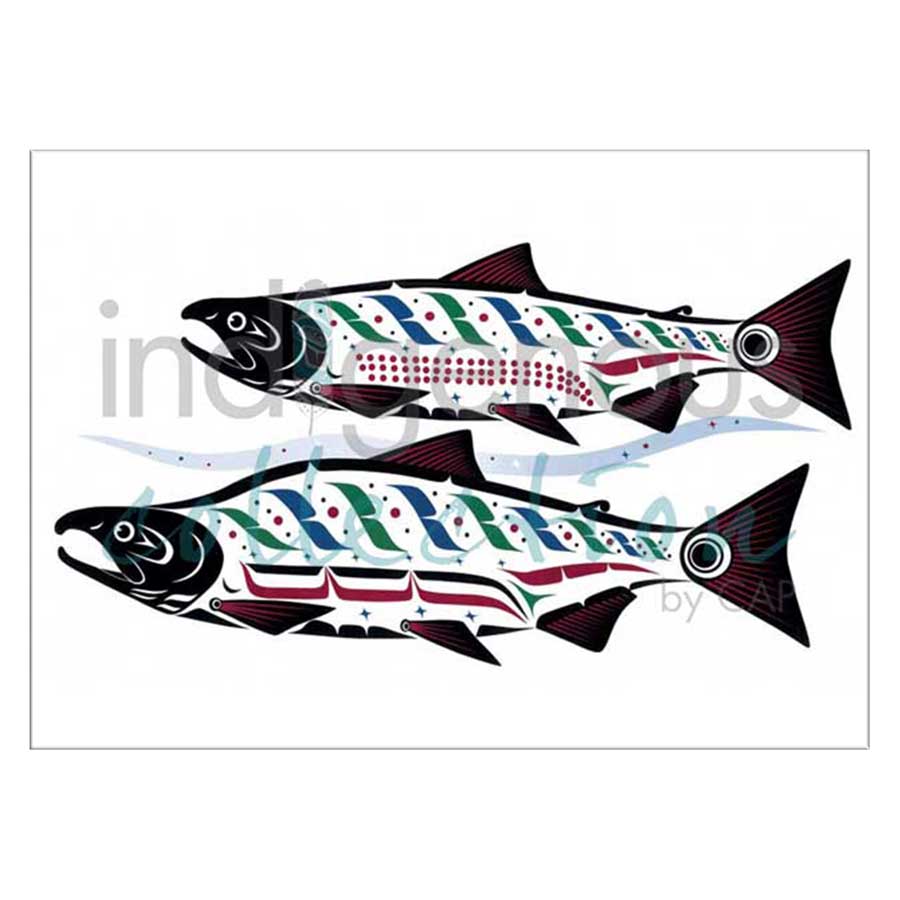 Haida Spawning Sockeye Canvas Prints