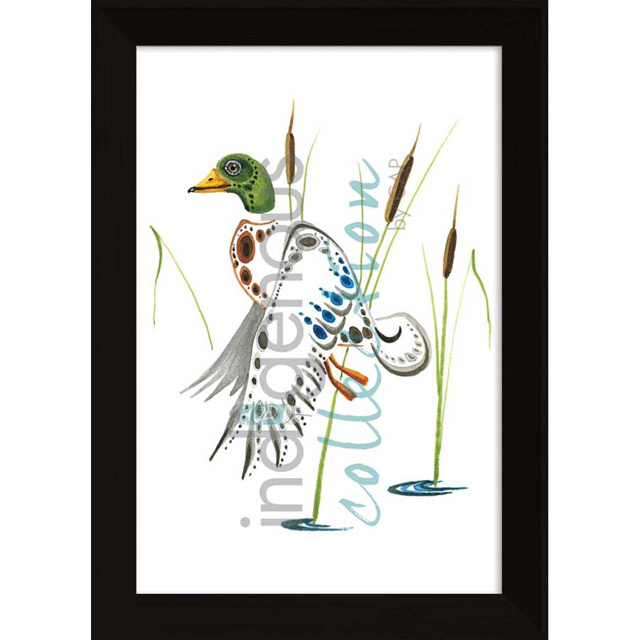 Mallard  by artist Ray Baptiste - Ojibway. Indigenous Collection