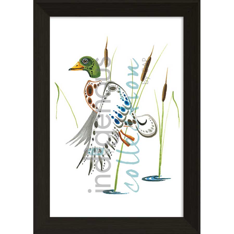 Mallard  by artist Ray Baptiste - Ojibway. Indigenous Collection