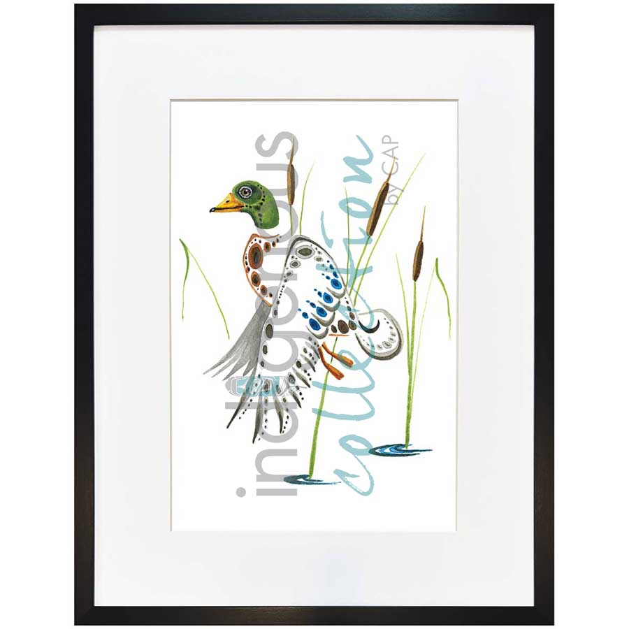 Mallard  by artist Ray Baptiste - Ojibway. Indigenous Collection
