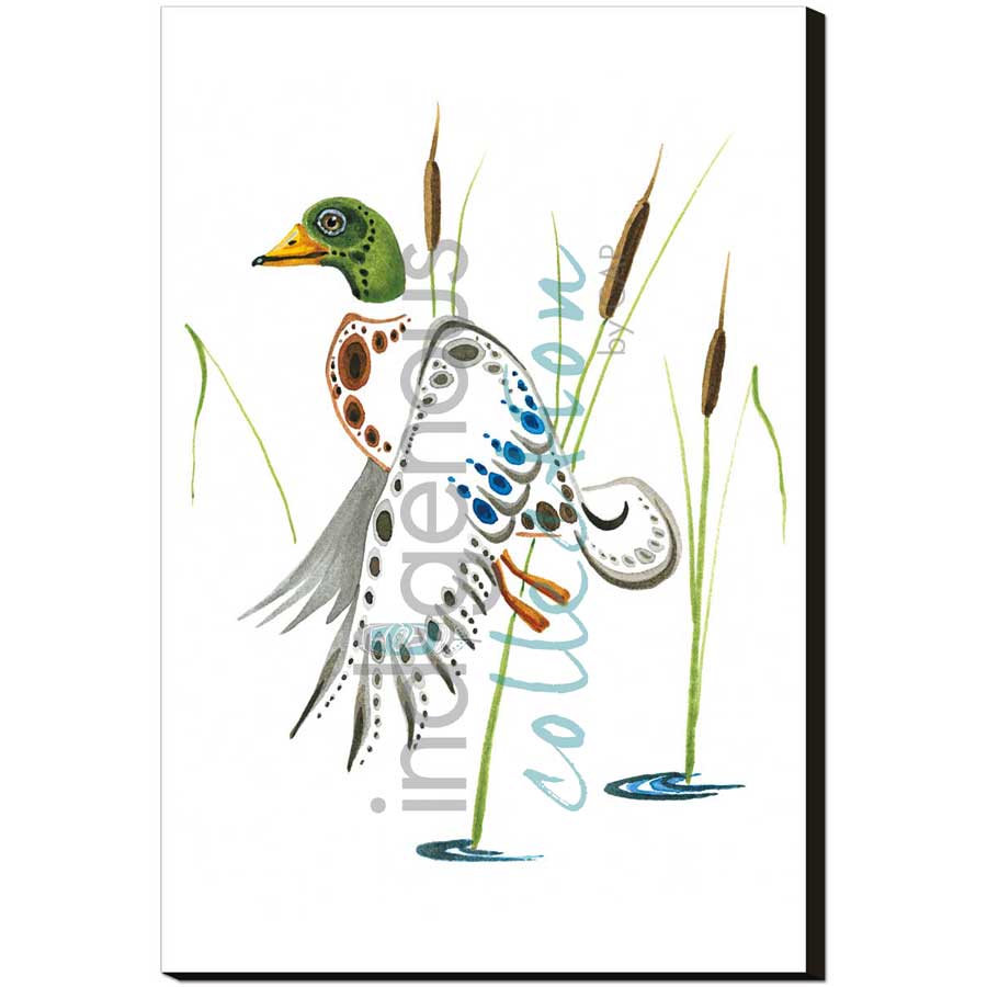 Mallard  by artist Ray Baptiste - Ojibway. Indigenous Collection