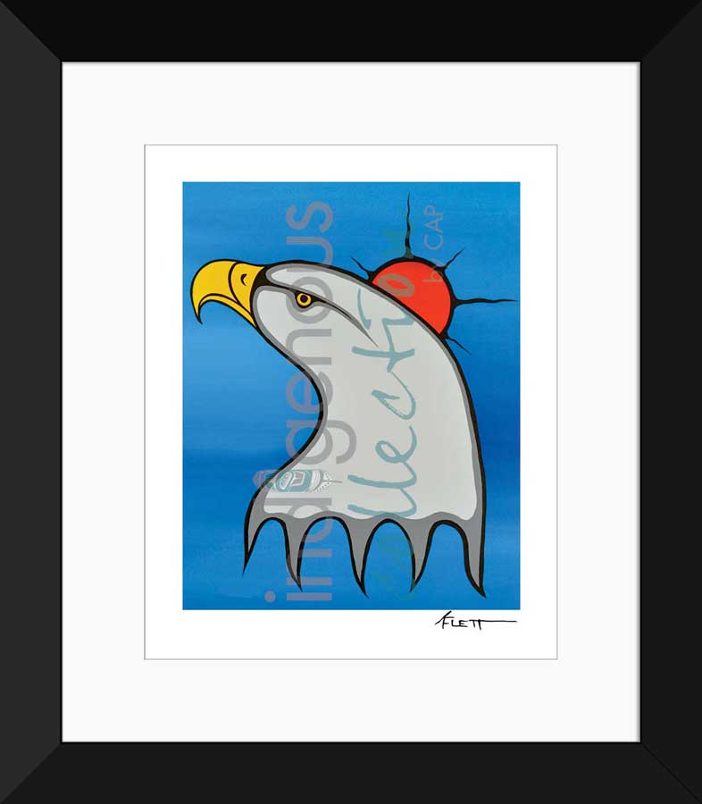 Vision Limited Edition. Indigenous Collection