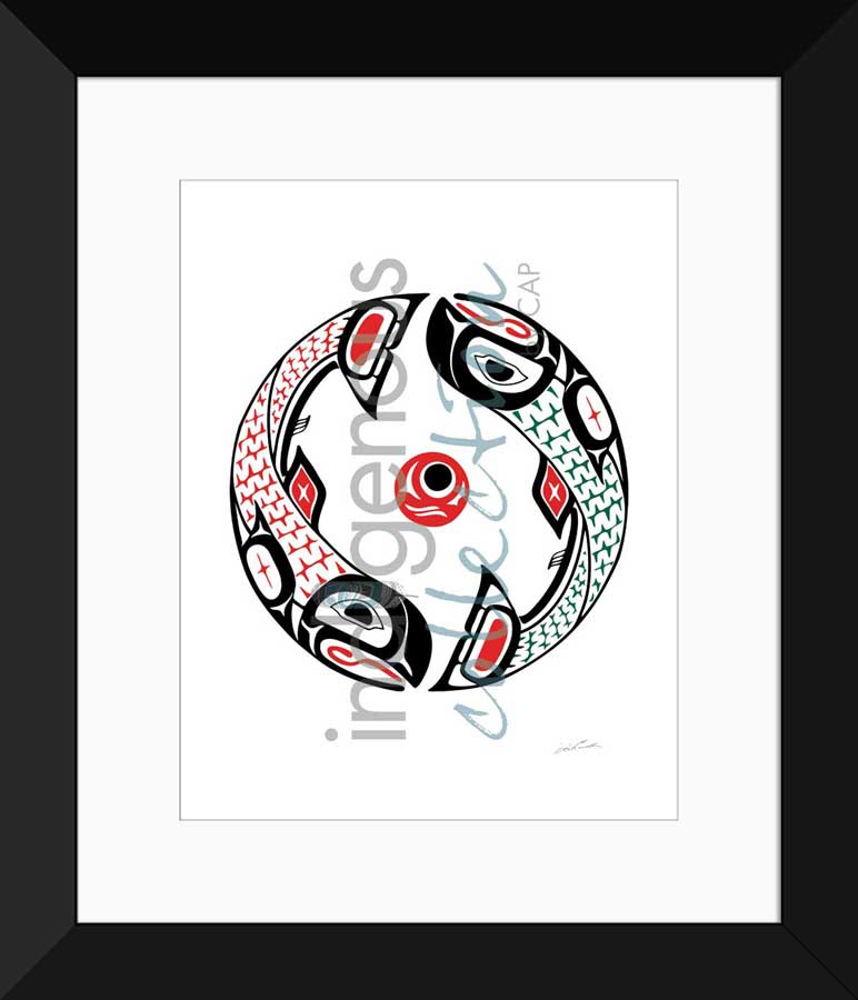 Life Cycle Limited Edition. Indigenous Collection