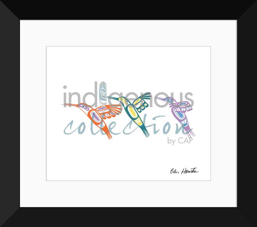 3 Hummingbirds Limited Edition. Indigenous Collection