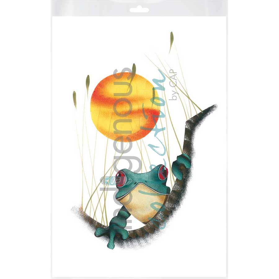 Frog by artist Garnett Tobacco - Cree. Indigenous Collection