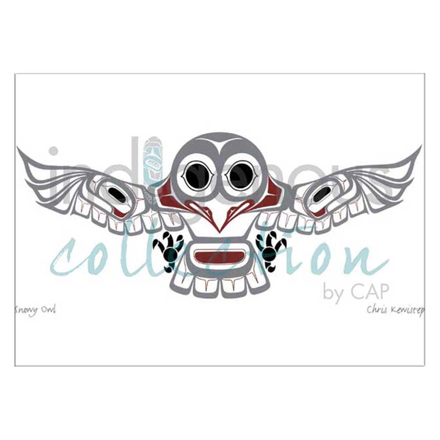 Snowy Owl Canvas Prints