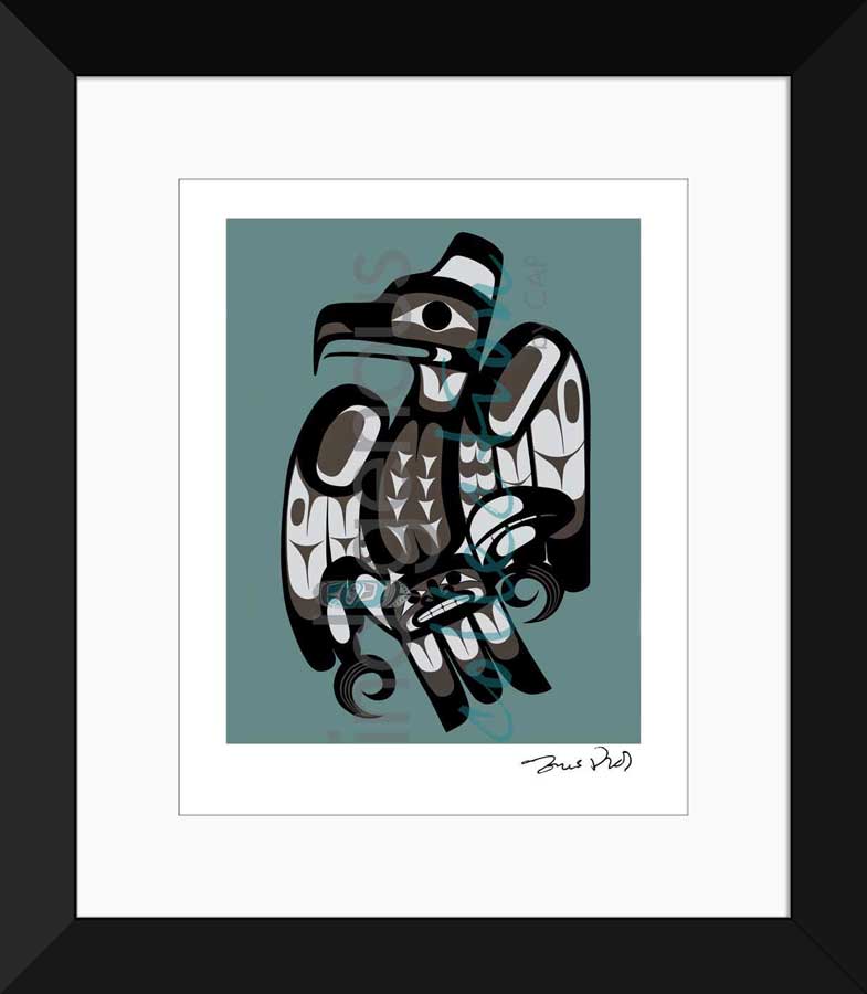 Raven Limited Edition. Indigenous Collection