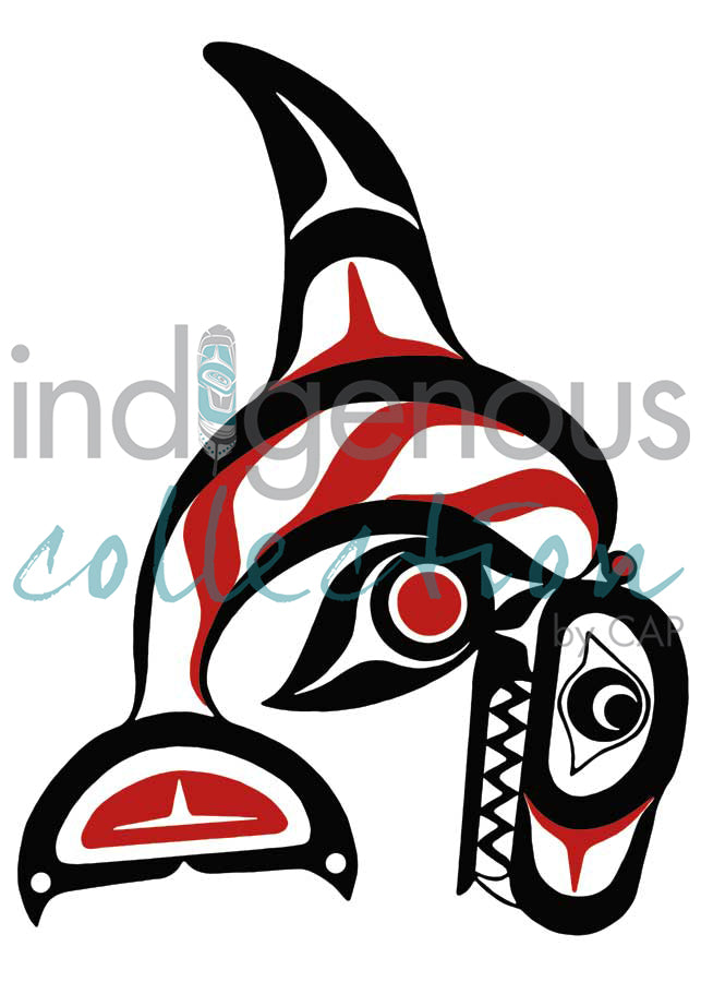 Killerwhale by artist Pauline Bull