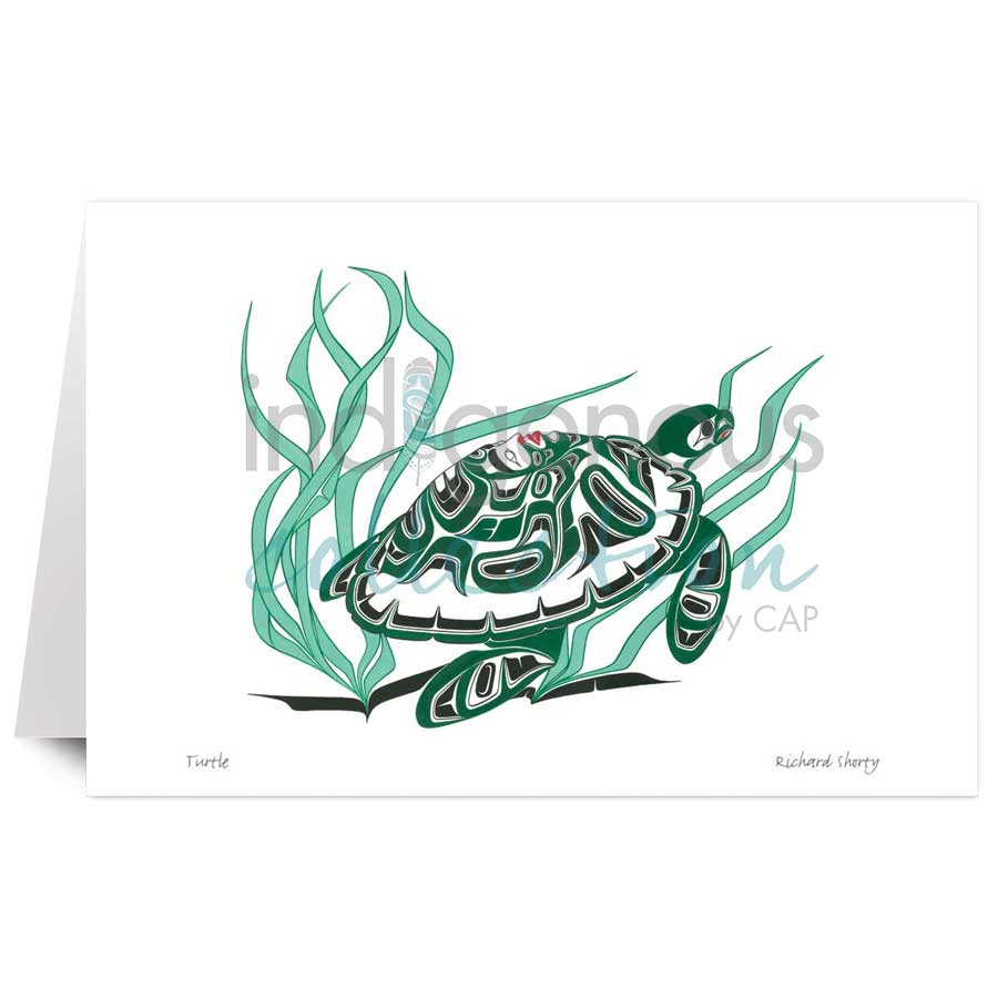 Turtle by artist Richard Shorty