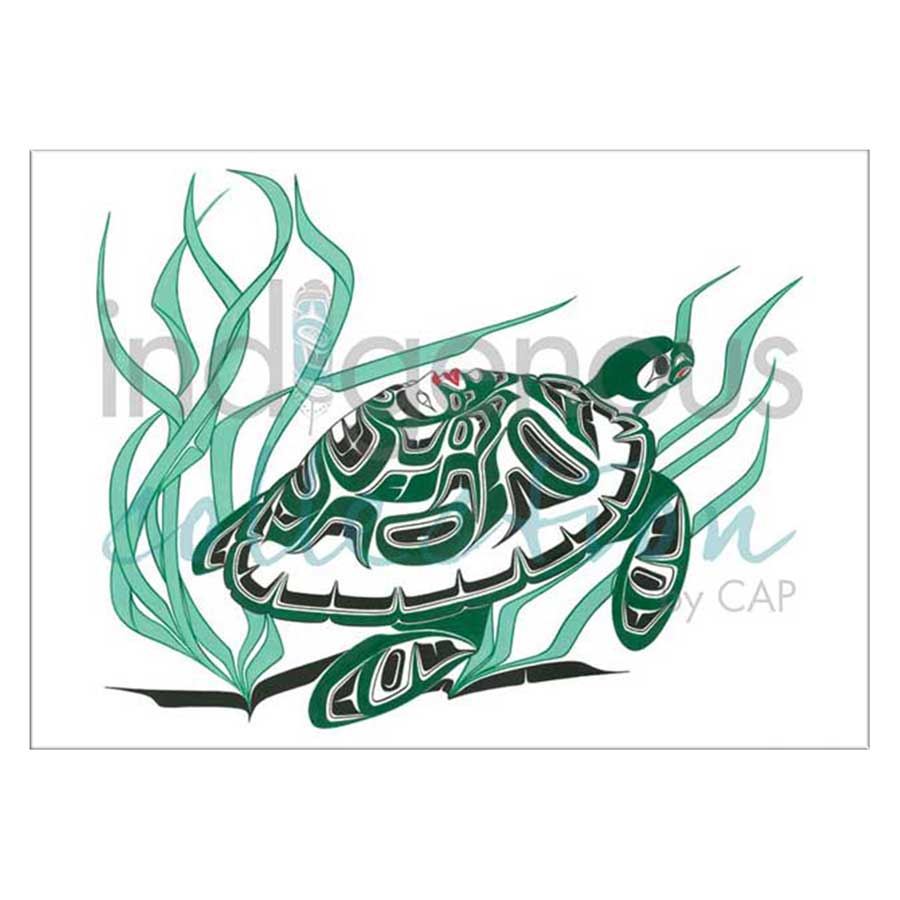 Turtle Canvas Prints