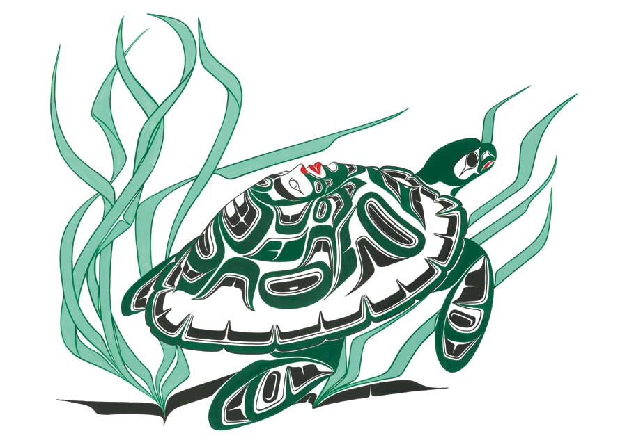 Turtle