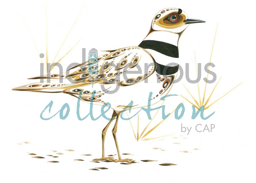 Lone Killdeer  by artist Ray Baptiste