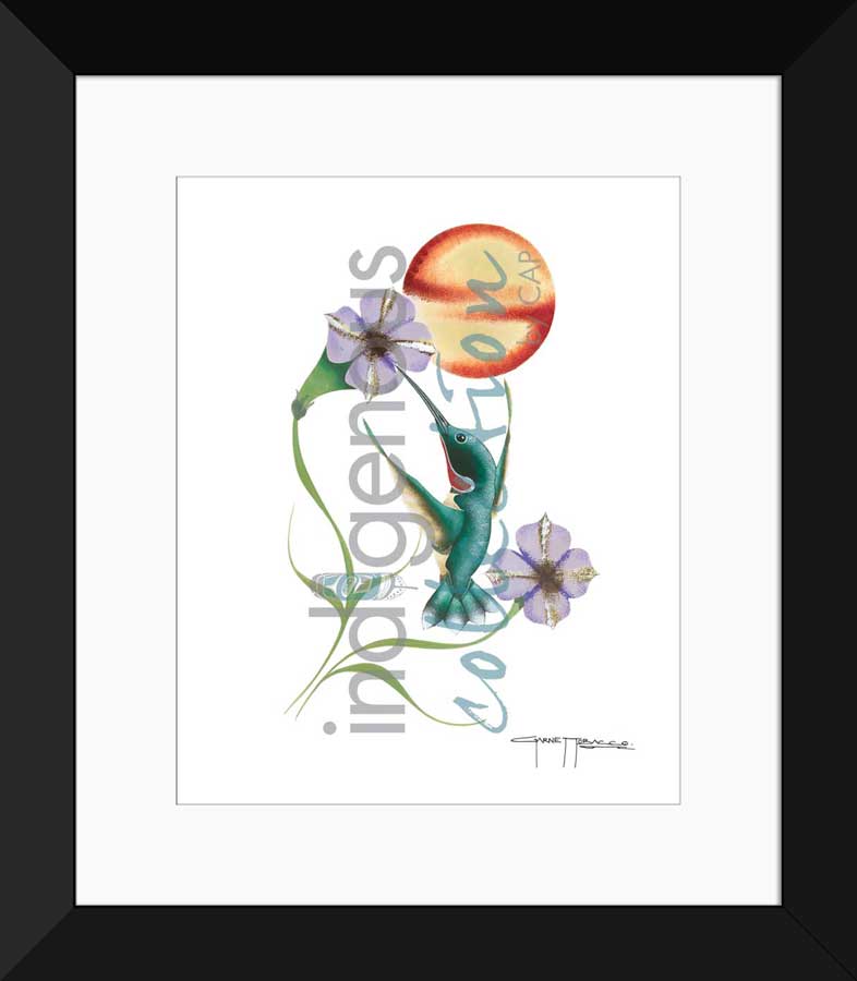 Hummingbird Limited Edition. Indigenous Collection