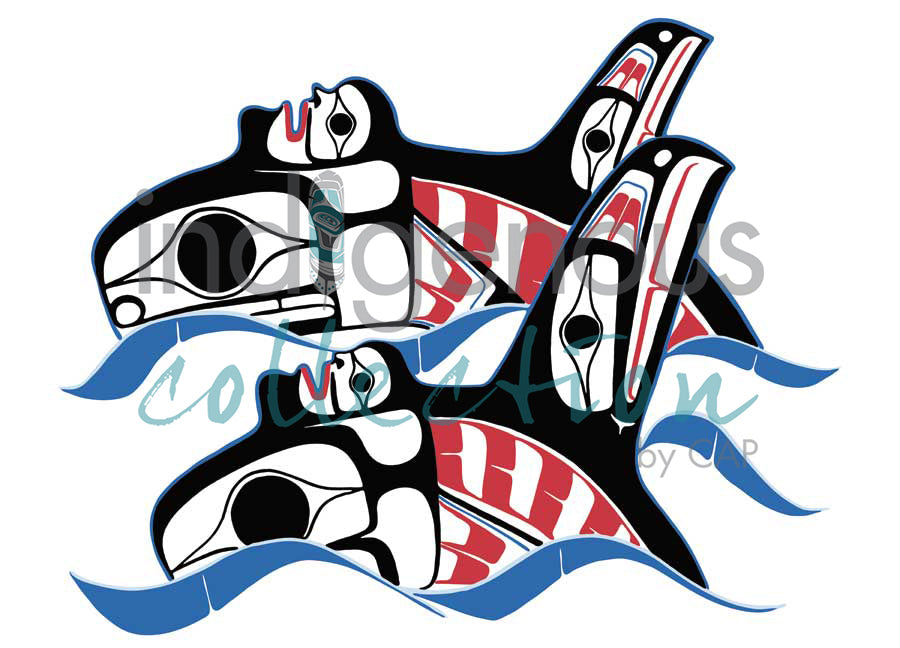Killer Whales by artist Ben Houstie