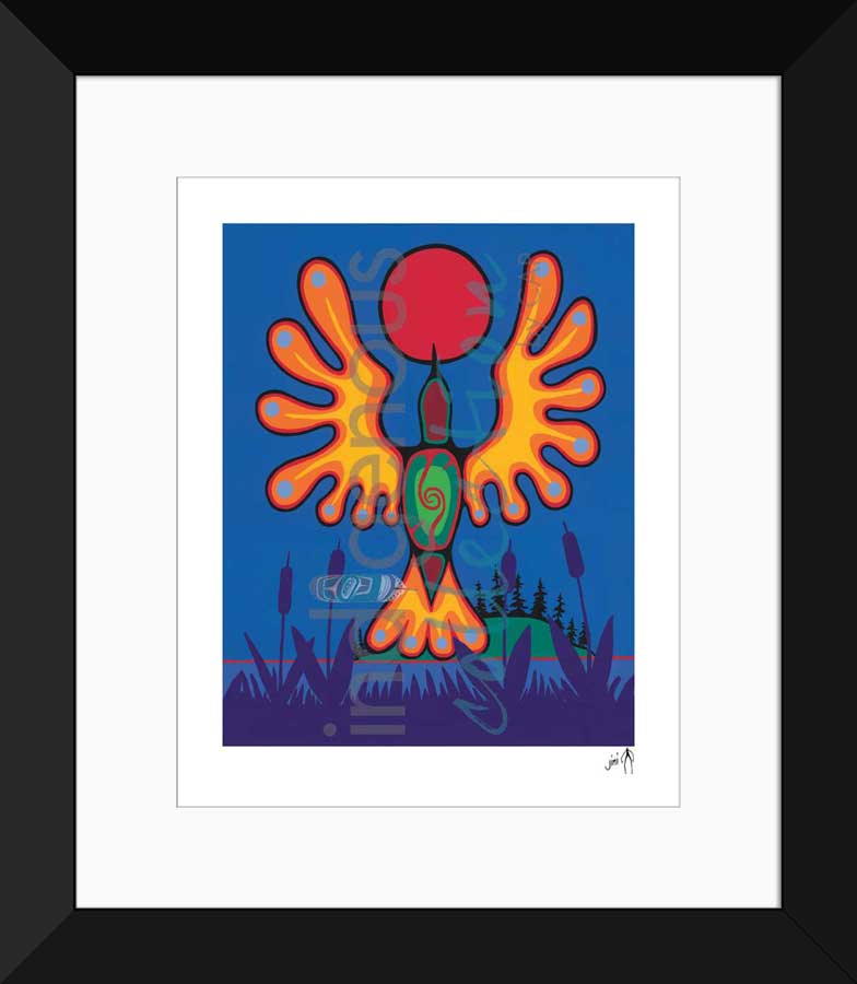 Evening Marsh Limited Edition. Indigenous Collection