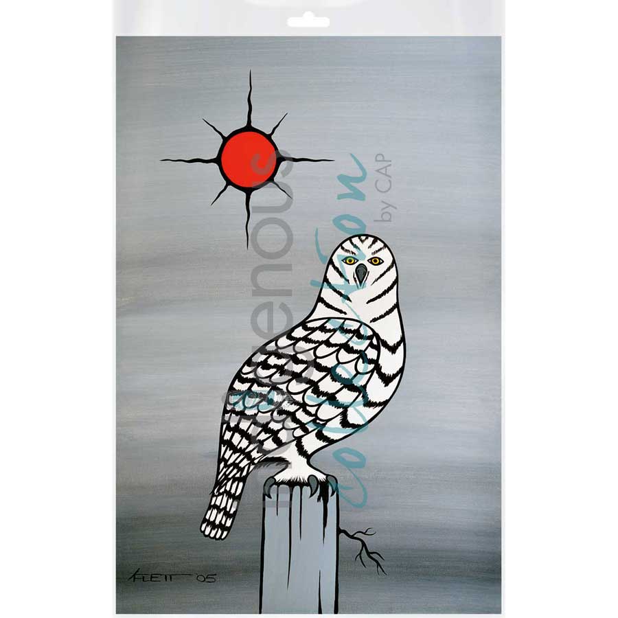 Wisdom by artist Kurt Flett - Oji-Cree. Indigenous Collection