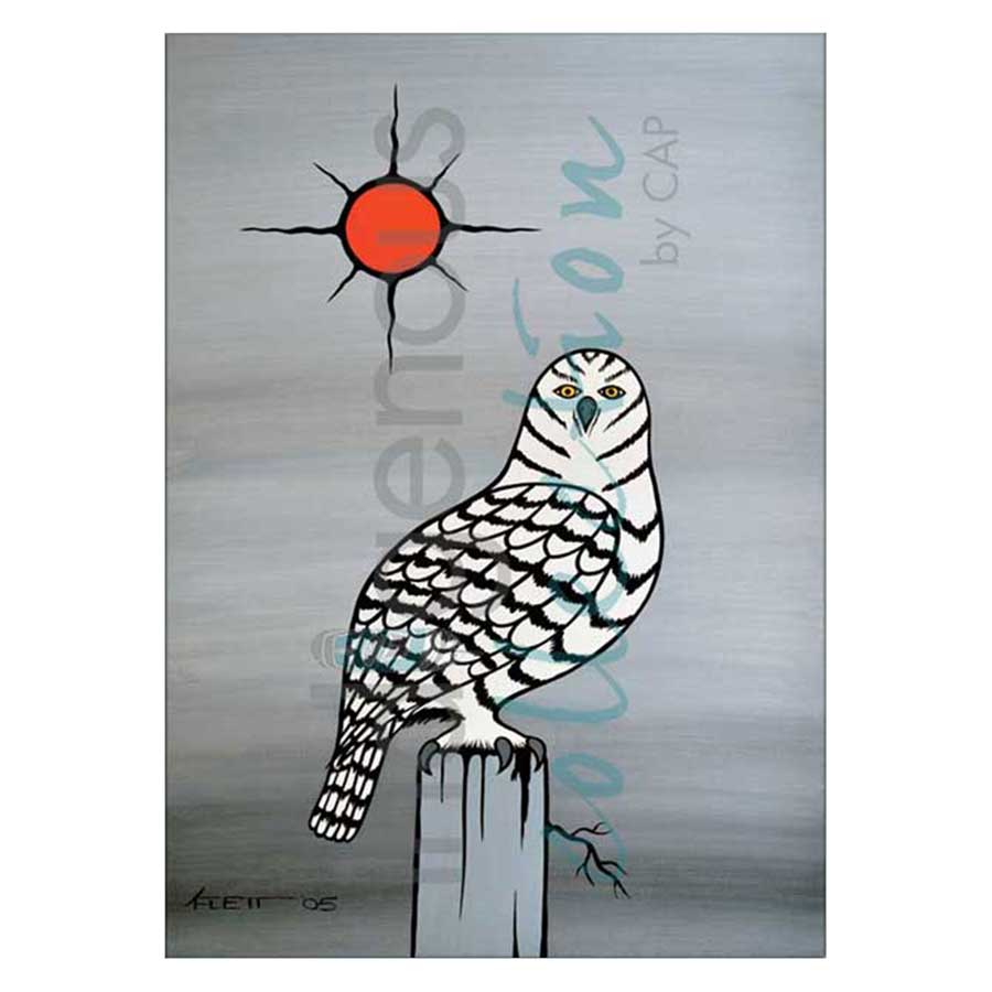 Wisdom Canvas Prints