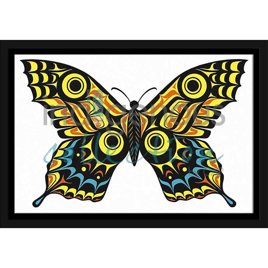Haida Butterfly by artist Clarence Mills - Haida. Indigenous Collection