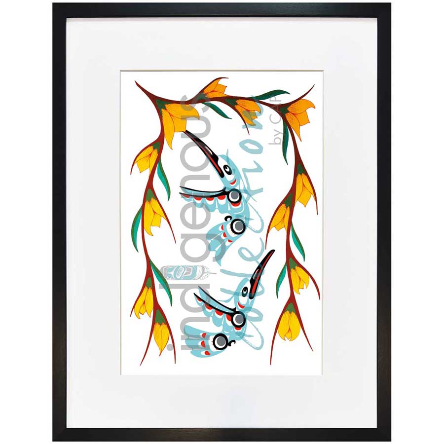 Hummingbirds by artist John A. Sharkey - Coast Salish. Indigenous Collection