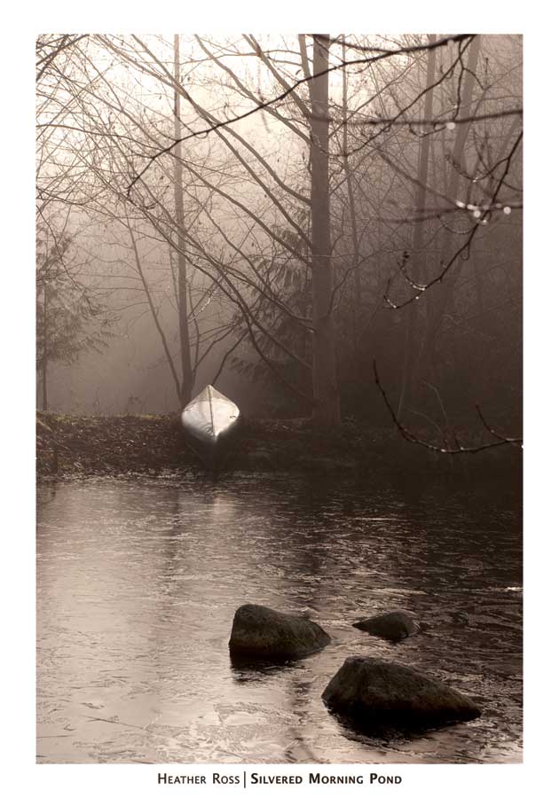 Silvered Morning Pond by artist Heather Ross