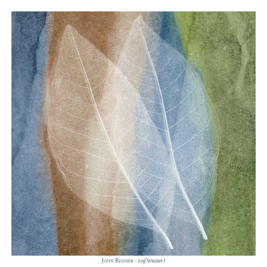 Leaf Structure I by artist John Rehner