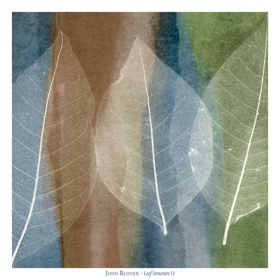 Leaf Structure II by artist John Rehner
